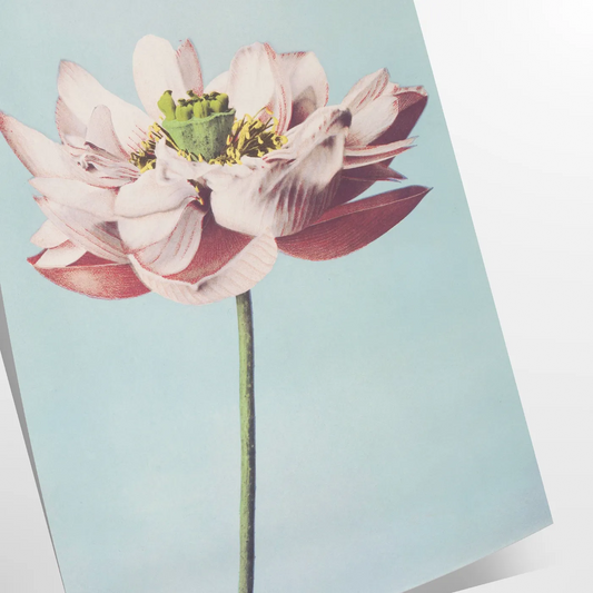 space garden poster blue gray tones elegant wall art perfect gift nature lovers serene touch decor framed frameless styles