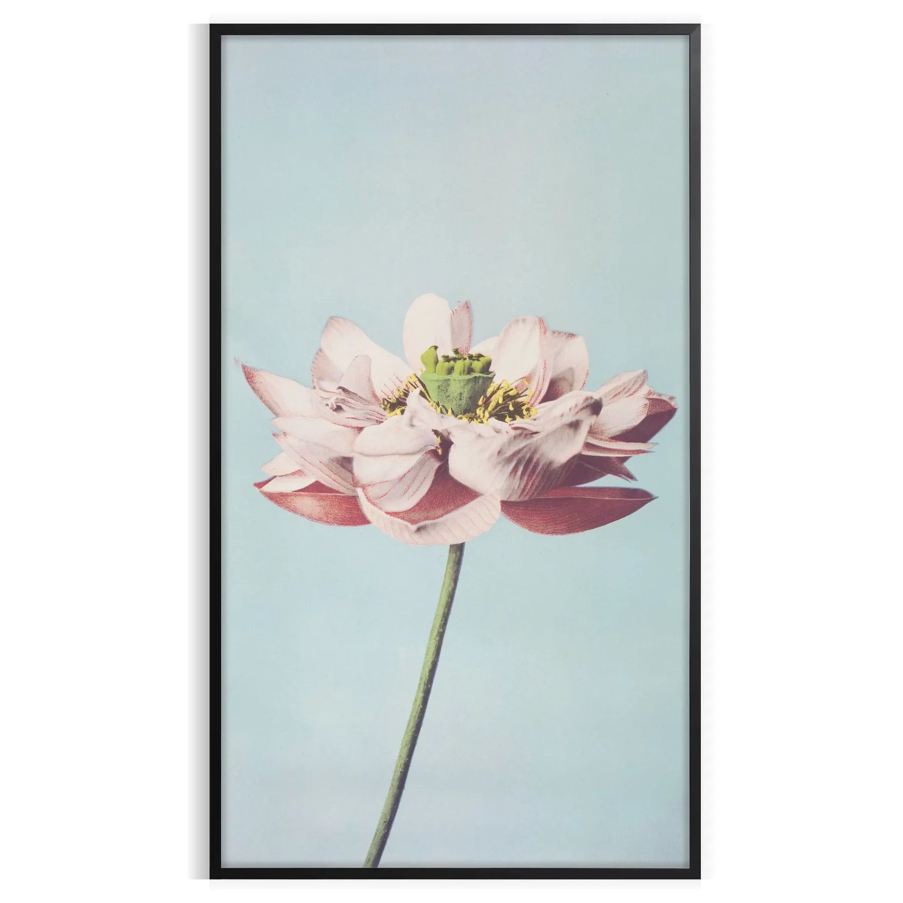 space garden poster blue gray tones elegant wall art perfect gift nature lovers serene touch decor framed frameless styles